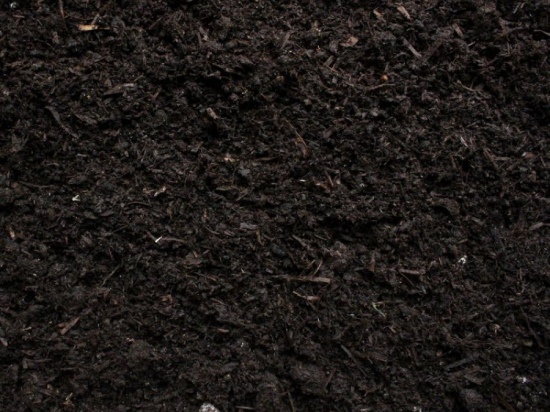 Mushroom Compost