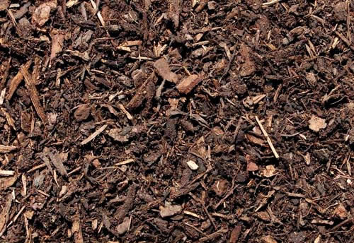 Bark Mulch