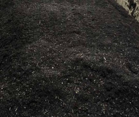 organic compost